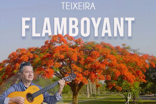 Gaúcho Olnei Teixeira homenageia a árvore Flamboyant em seu novo single
