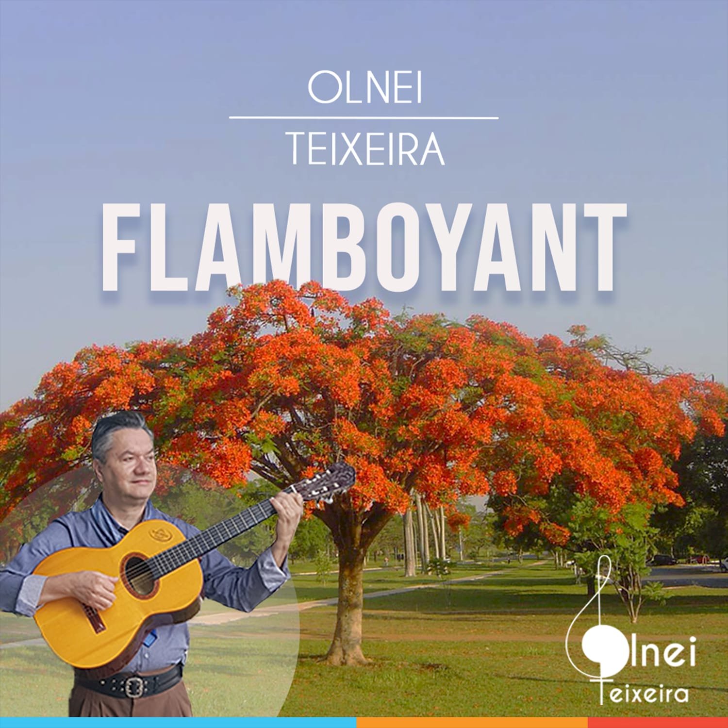 Gaúcho Olnei Teixeira homenageia a árvore Flamboyant em seu novo single